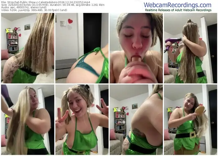 stripchat-celestedubois-12-24-2024-23-22-52