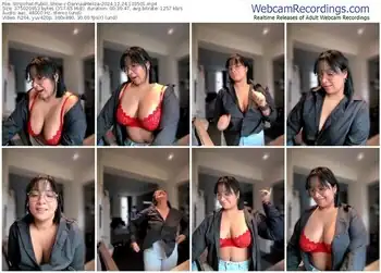 stripchat-dannaameliza-12-24-2024-10-35-01