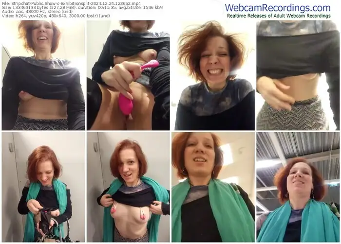 stripchat-exhibitionsplit-12-24-2024-12-36-52