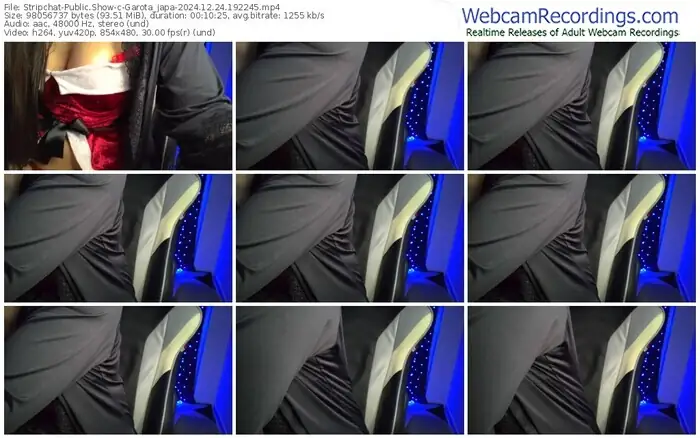 stripchat-garota_japa-12-24-2024-19-22-45