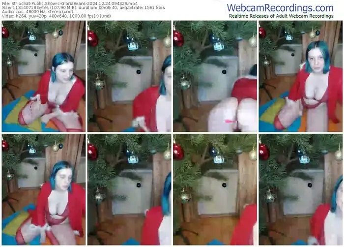 stripchat-gloriaevans-12-24-2024-09-43-29