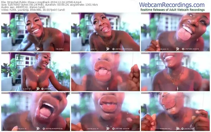 stripchat-josyblack-12-24-2024-10-58-14