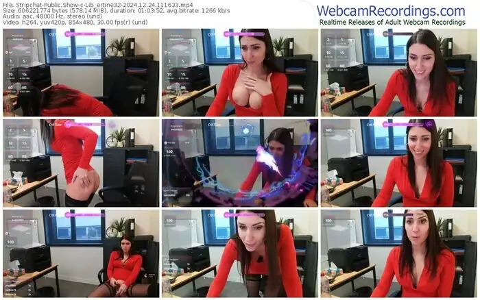 stripchat-lib_ertine32-12-24-2024-11-16-33