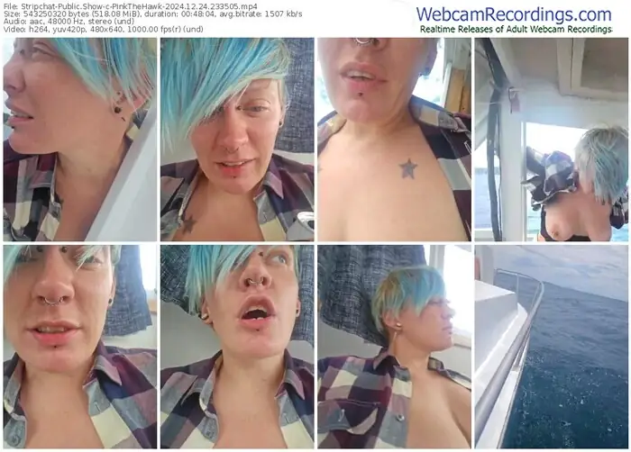 stripchat-pinkthehawk-12-24-2024-23-35-05