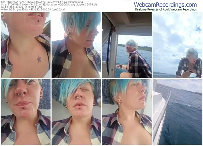 stripchat-pinkthehawk-12-24-2024-23-36-06