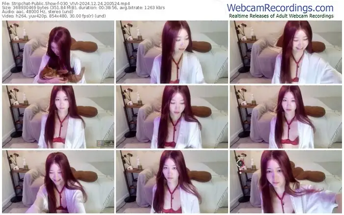 stripchat-030_vivi-12-24-2024-20-05-24