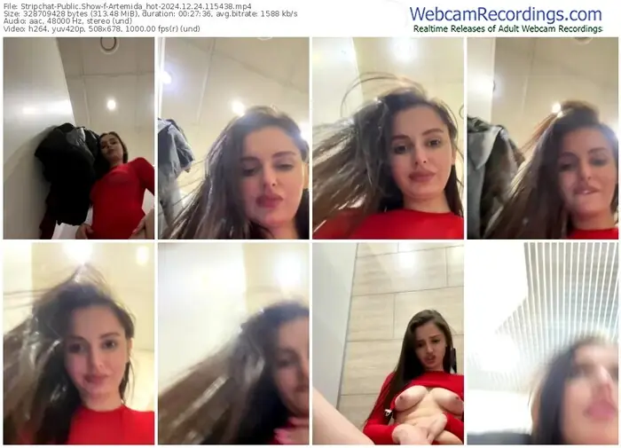 stripchat-artemida_hot-12-24-2024-11-54-38