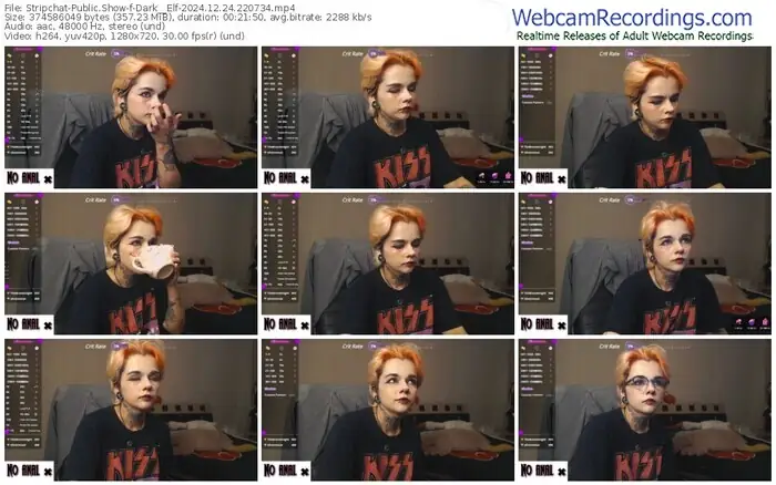 stripchat-dark__elf-12-24-2024-22-07-34