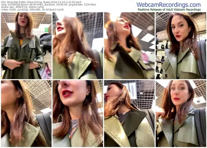 stripchat-dina_tease-12-24-2024-11-21-35