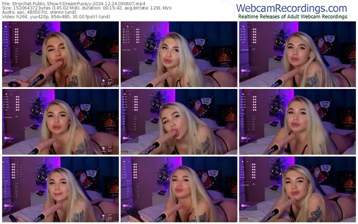 stripchat-dreampussyy-12-24-2024-09-06-07