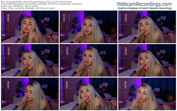 stripchat-dreampussyy-12-24-2024-10-40-31