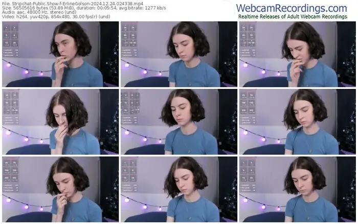 stripchat-erlinegolson-12-24-2024-02-43-38