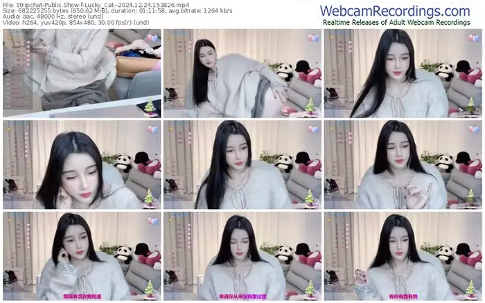 stripchat-lucky_cat--12-24-2024-15-38-26