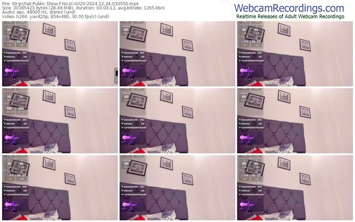 stripchat-nicol-gil20-12-24-2024-03-35-50