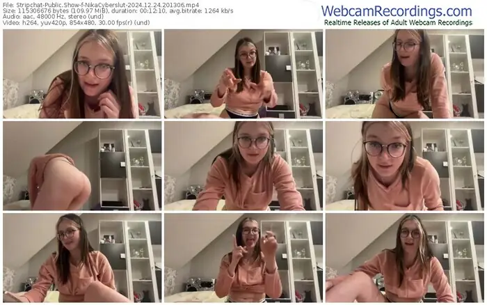 stripchat-nikacyberslut-12-24-2024-20-13-06