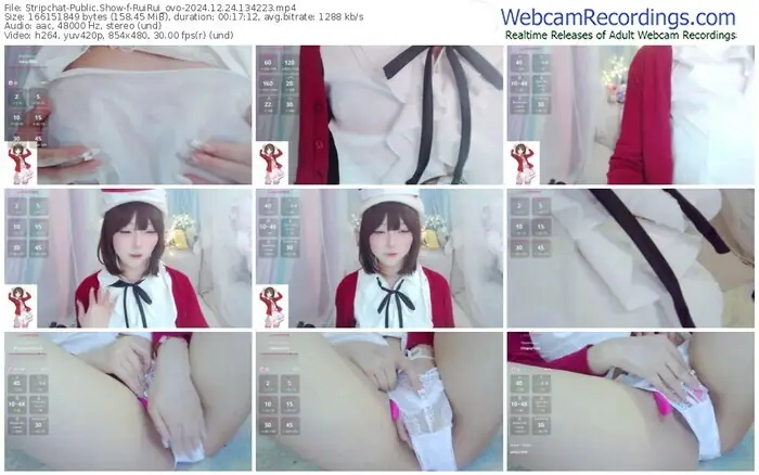 stripchat-ruirui_ovo-12-24-2024-13-42-23