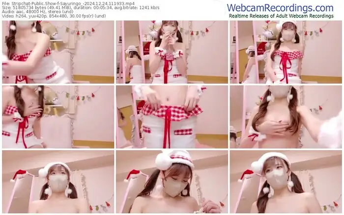 stripchat-sayuringo_-12-24-2024-11-19-33