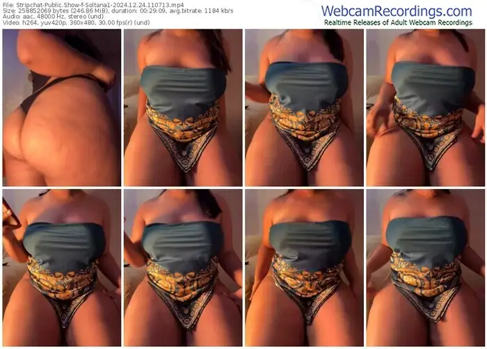 stripchat-soltana1-12-24-2024-11-07-13