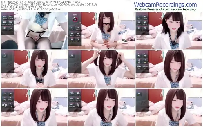 stripchat-sunny--666-12-24-2024-12-46-37