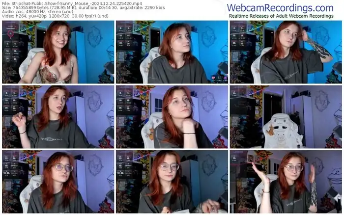 stripchat-sunny_mouse_-12-24-2024-22-54-20