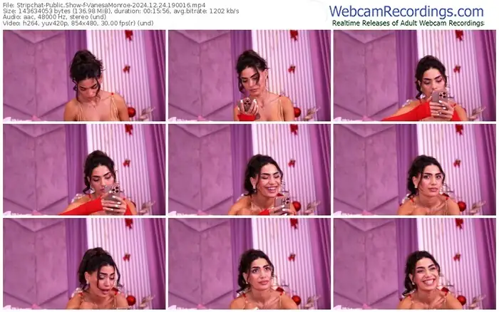 stripchat-vanesamonroe-12-24-2024-19-00-16