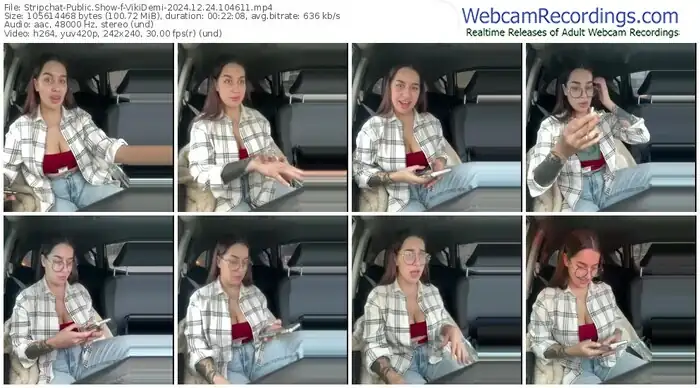 stripchat-vikidemi-12-24-2024-10-46-11