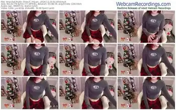 stripchat-_mizuki_-12-24-2024-01-16-58