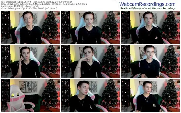 stripchat-_rein_ramm-12-24-2024-07-02-49