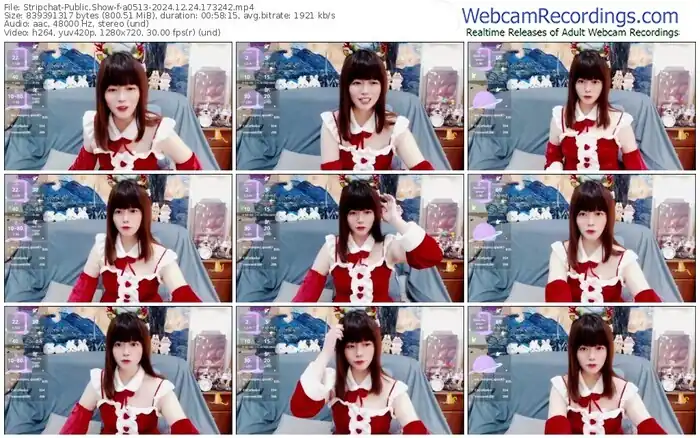 stripchat-a0513-12-24-2024-17-32-42