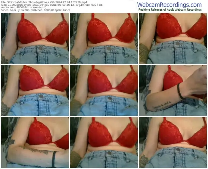 stripchat-geilmeisje98-12-24-2024-13-27-39