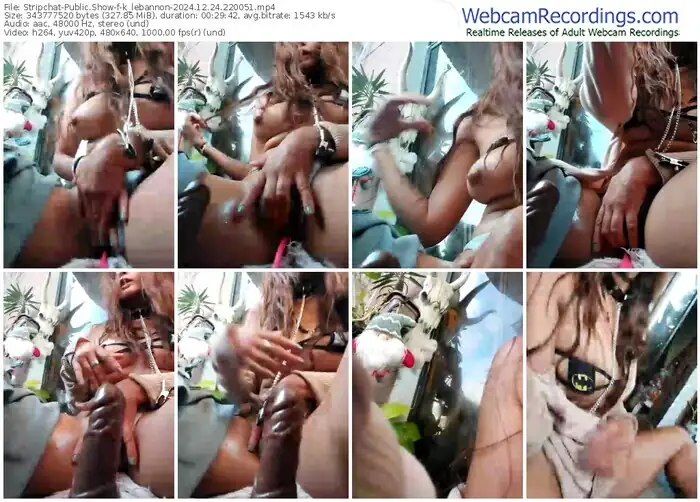 stripchat-k_lebannon-12-24-2024-22-00-51