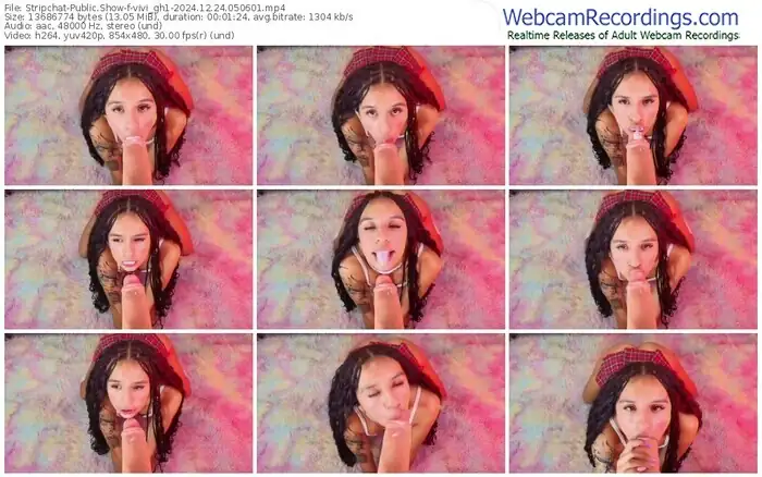 stripchat-vivi_gh1-12-24-2024-05-06-01