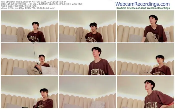 stripchat-ae_rum-12-24-2024-16-25-49