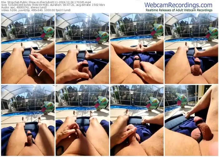 stripchat-theclubist111-12-24-2024-17-02-45