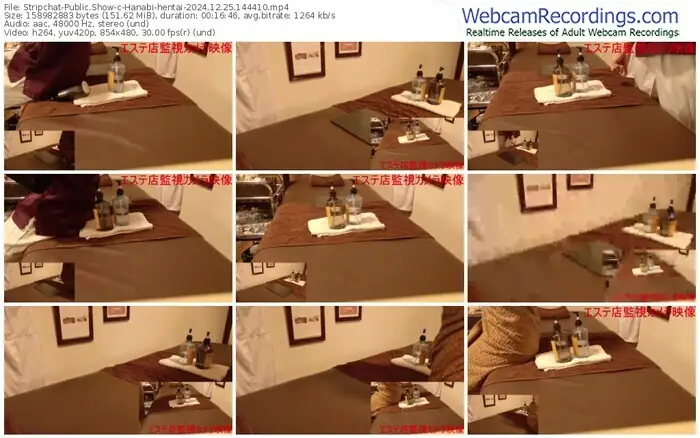 stripchat-hanabi-hentai-12-25-2024-14-44-10