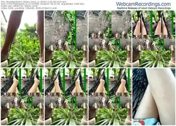 stripchat-hani_xx-12-25-2024-05-11-53