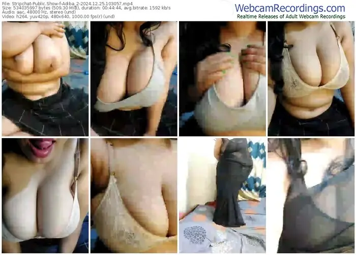 stripchat-adiba_2-12-25-2024-10-30-57