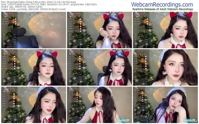 stripchat-alice-821-12-25-2024-14-15-03
