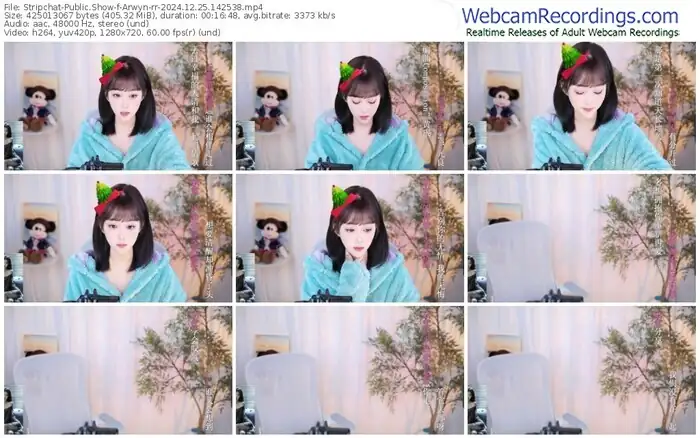 stripchat-arwyn-rr-12-25-2024-14-25-38