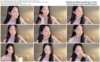 stripchat-chanel-99-12-25-2024-11-29-56