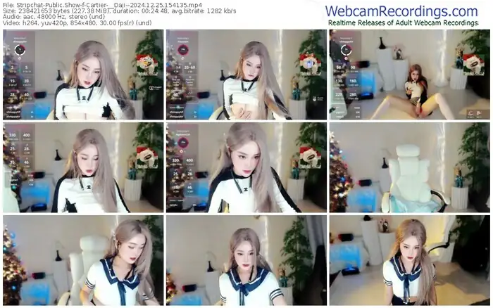 stripchat-cartier-__daji--12-25-2024-15-41-35