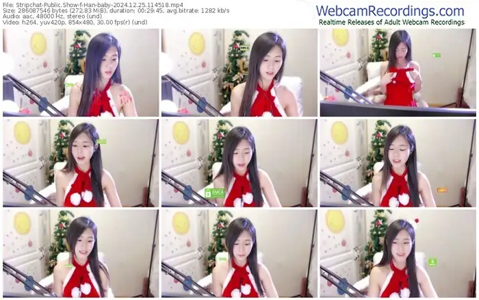 stripchat-han-baby-12-25-2024-11-45-18