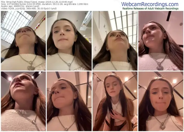 stripchat-jessi_meow-12-25-2024-11-00-40