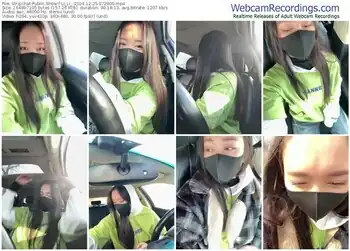 stripchat-li_li_-12-25-2024-07-29-00