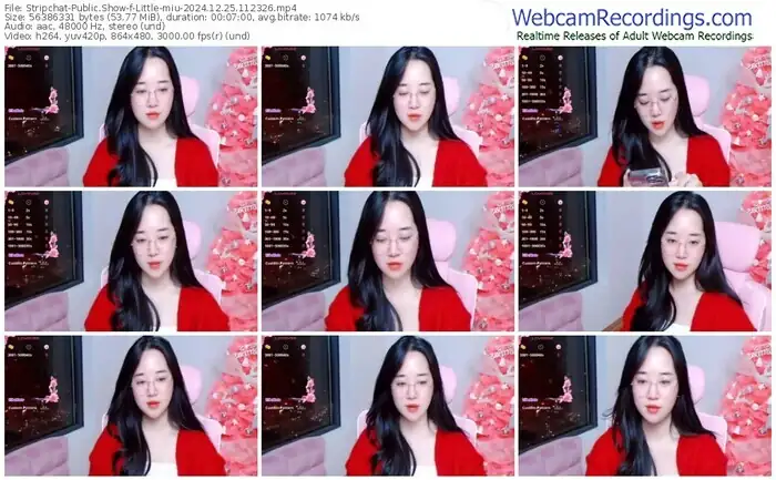 stripchat-little-miu-12-25-2024-11-23-26