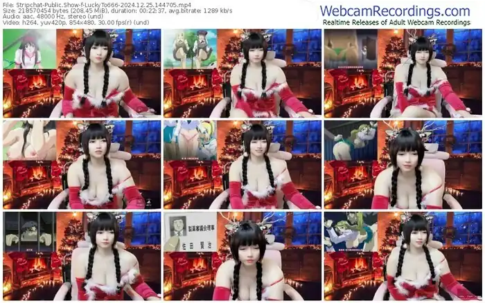 stripchat-luckyto666-12-25-2024-14-47-05