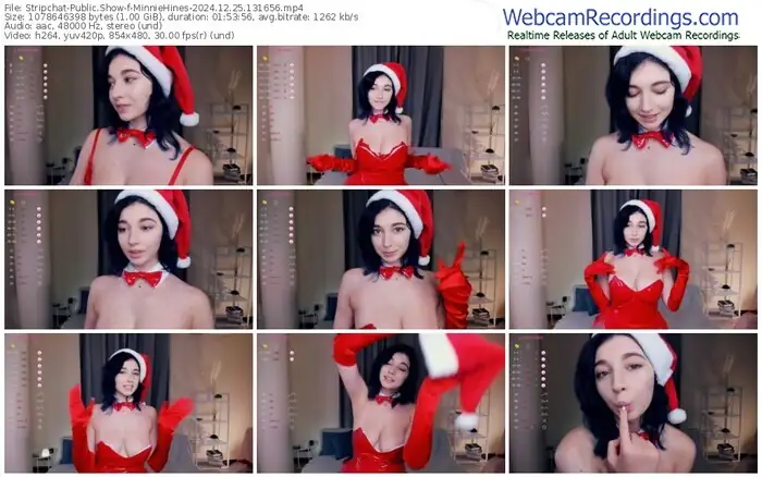 stripchat-minniehines-12-25-2024-13-16-56