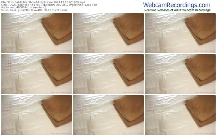 stripchat-pollybisbee-12-25-2024-00-18-09