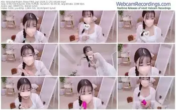 stripchat-ria_pipi-12-25-2024-10-52-44