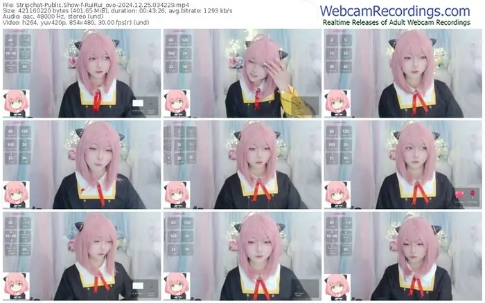 stripchat-ruirui_ovo-12-25-2024-03-42-29